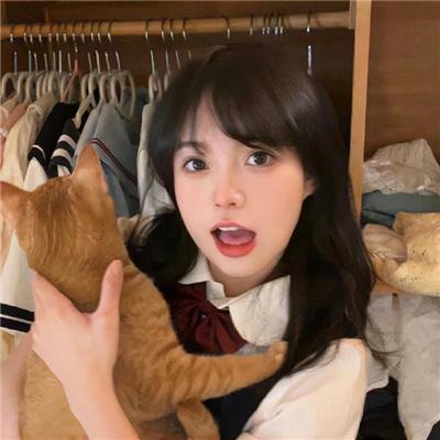 孤胆义侠